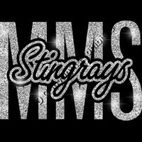 GLT95 SILVER GLITTER Thumbnail