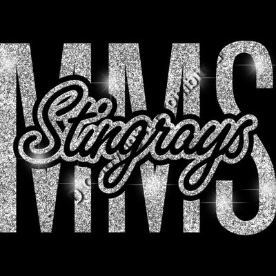 GLT95 SILVER GLITTER Thumbnail